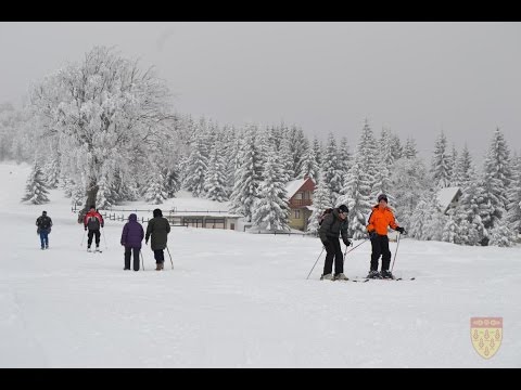 Видео: Пониква -  Осоговска убавица, угостителски објекти