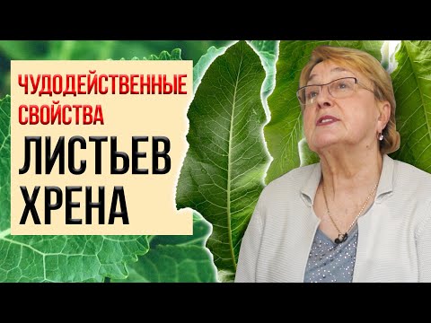 Видео: Листья хрена вытягивают соль прямо через поры кожи