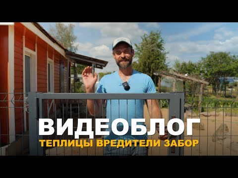 Видео: БЛОГ: ДЕРЕВЕНСКИЕ ЗАБОТЫ, ОБНОВКИ НА УЧАСТКЕ И РАБОТА В САДУ.