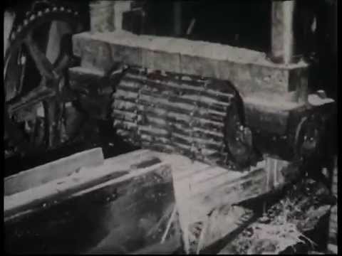 Видео: Выдрино поселок у моря!