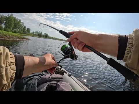 Видео: Очередная рыбалка на спиннинг  29 июля 2025 года , поймал окуней , щучек
