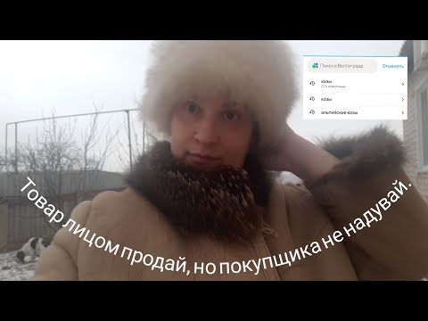 Видео: Покупка козы 🐐 Как нас хотели обмануть на Авито 😡Фасую мясо 🥩 Халуми из коровьего молока 🧀