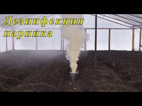 Видео: Окуривание парника, теплицы серой. Зачем это нужно? Сера или серные шашки - что лучше?