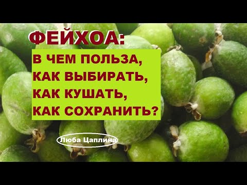 Видео: Фейхоа: в чем польза,как выбирать, как кушать и как сохранить?