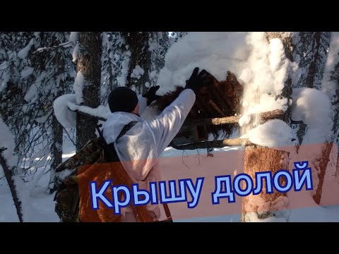 Видео: Охота на куницу капканами / закрытие сезона.