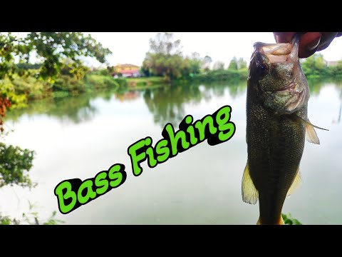 Видео: Bass Fishing  в Италии  незабываемая рыбалка в Эмилия-Романья