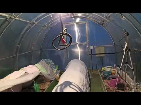 Видео: 24.04.2024 Высаживаю помидоры ночью, хорошо что есть свет в теплице