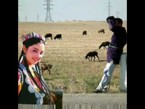 Видео: НОТАНИШ БАХШИ 2019, ЧУПОН ЙИГИТ