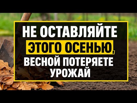 Видео: Не делайте это осенью! Весной потеряете весь урожай и останетесь с пустыми грядками