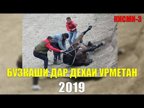 Видео: Бузкаши дар дехаи Урметани нохияи Айни соли 2019 \КИСМИ-3\