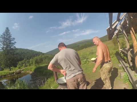 Видео: Бограч на полонині