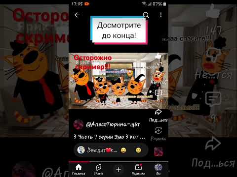 Видео: Смотрю видео 3 котов