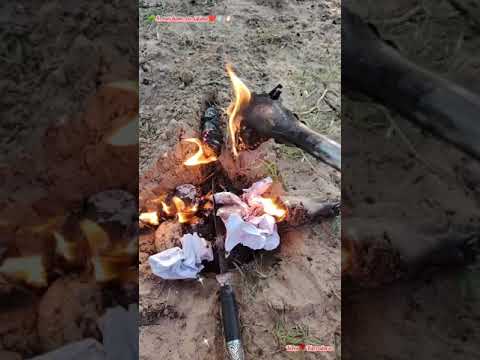 Видео: 🌳ЧИСТКА РОДА💫СНИМАЕМ ПРОКЛЯТИЕ РОДА, ПОТЕРИ, НИЩЕТУ, РАЗРУШЕНИЯ⚖️ВОЗВРАЩАЕМ ПРОЦВЕТАНИЕ РОДА✅🙏❤️🛡️🪞