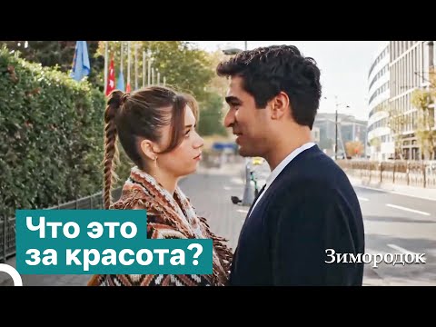 Видео: Я согласен как на её капризы, так и на страдания ради этой любви | Зимородок