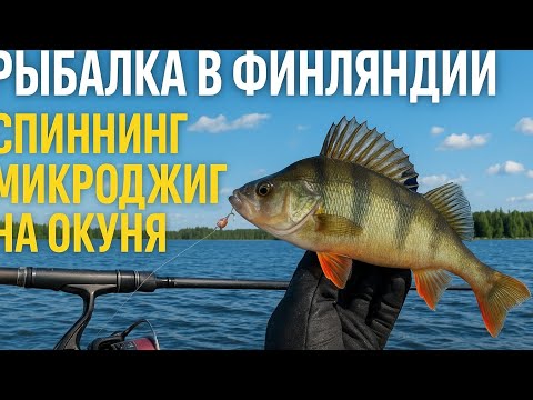 Видео: "День второй рыбалка на окуня осенью в Финляндии!"#рыбалка #окунь #улов