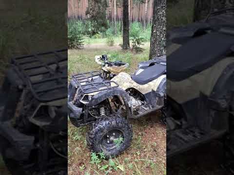 Видео: обзор квадроцикла Motoland 250