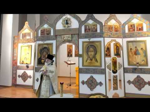 Видео: 08.11.2025. Вмч. Димитрия Солунского. ( ок. 306 г. ) Литургия Иоанна Златоуста.