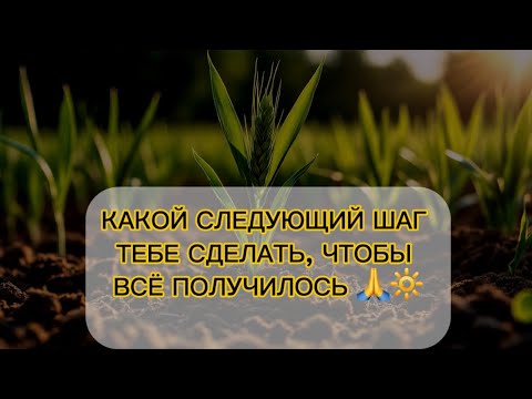 Видео: 💯❤️ТВОЙ СЛЕДУЮЩИЙ ШАГ ДЛЯ УСПЕХА 🔥🙏 