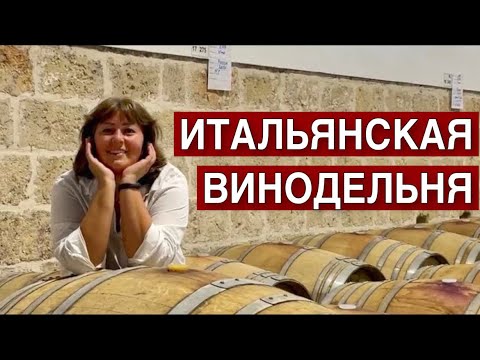 Видео: ВИНОДЕЛЬНЯ 🍷 КАК ЭТО УСТРОЕНО В ИТАЛИИ 🍷 СМОТРИМ СТАРИННУЮ ВИНОДЕЛЬНЮ В АПУЛИИ