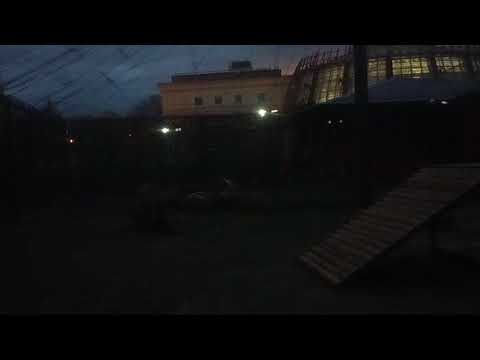 Видео: XDPD6077 Вечер Шархан 29 10 2025 Видео от опекуна Светланы