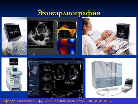 Видео: ЭхоКГ 2020 Dist 1 и 2 часть