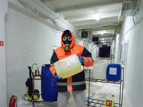 Видео: Мойка и дезинфекция камер для выращивания шампиньонов.Оборудувания и средства для обработки фермы.