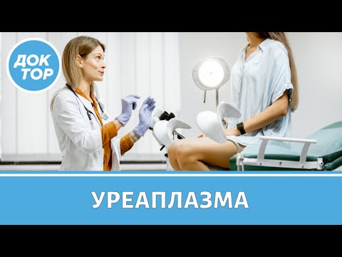 Видео: Уреаплазма. Лечить или нет?