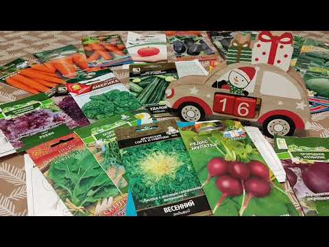 Видео: Готовимся к посадочному сезону. Обзор семян. Наши любимчики и новинки #ОльгаЗайцева