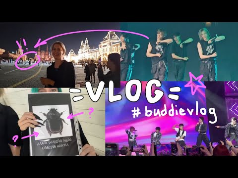 Видео: 🎉 Birthday vlog | 🎪 Легендарное воссоединение: Фандом Фест, TIOT, Blitzers и Nomads