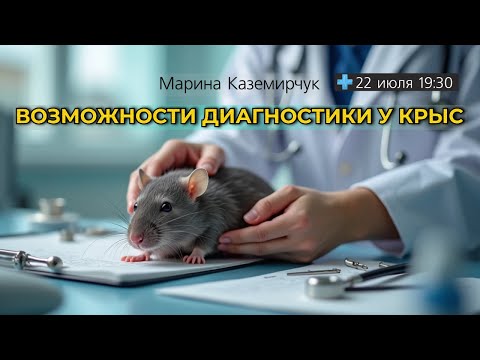 Видео: Возможности диагностики у крыс