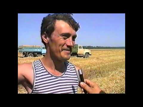 Видео: Кулешовка Жатва-94