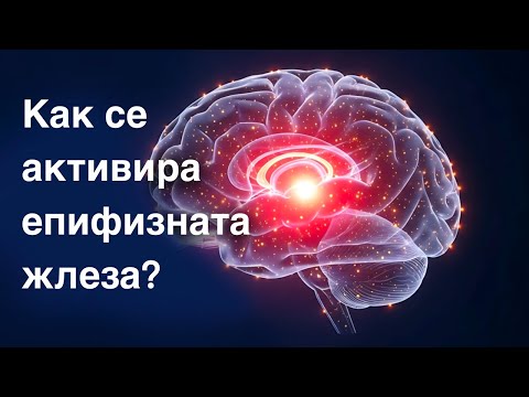Видео: Епифизната Жлеза - роля, ползи и как да я активираме + бонус кратка медитация