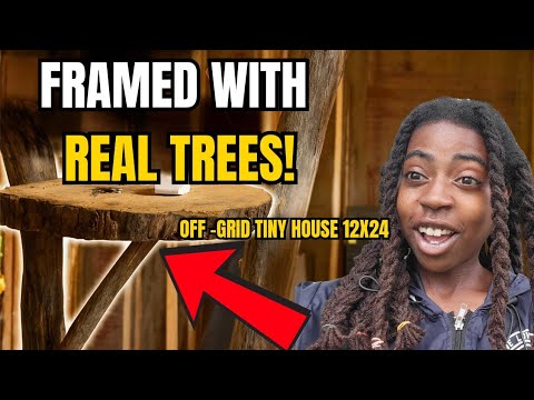 Видео: В ОКРУЖЕНИИ НАСТОЯЩИХ ДЕРЕВЬЕВ! | Мини-домик 12x24, не подключенный к электросети