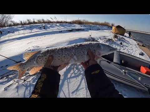 Видео: Закрытие сезона жидкой воды с друзьями. Ловим щуку на резинку