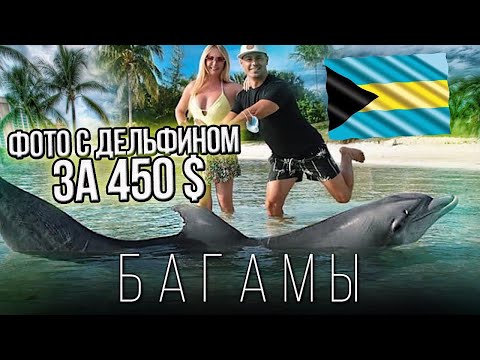 Видео: VLOG Багамы: Как Нас ОБМАНУЛИ В Отеле Атлантис, Фотографии С Дельфинами За 450$