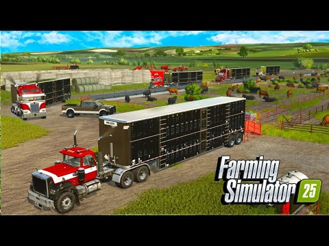 Видео: Я продал мясной скот на 500 000 долларов? | Farming Simulator 25