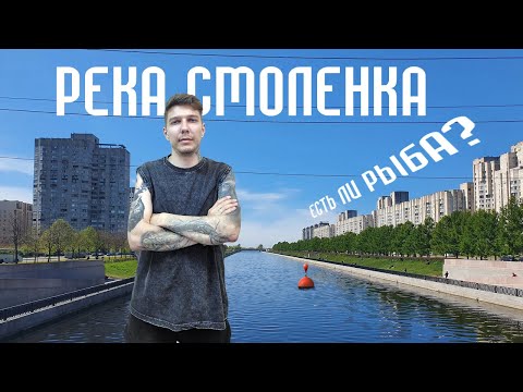 Видео: Поменяли спиннинг на ФИДЕР и дело сразу пошло - рыбалка на реке Смоленка в Санкт-Петербурге