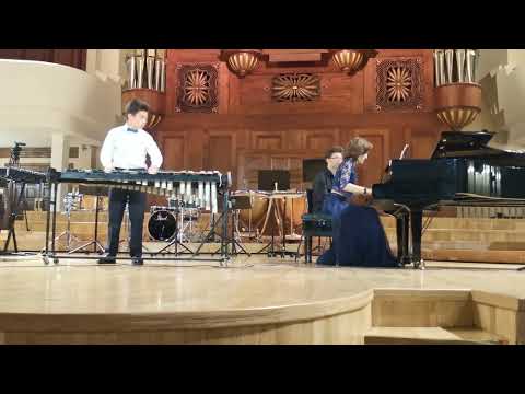 Видео: Н. П. Будашкин. Концерт для домры с оркестром. Ксилофон