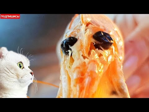 Видео: КАК СВАРИТЬ КРЕВЕТКИ ЛАНГУСТИНЫ ПРИГОТОВИТЬ ЗАМОРОЖЕННЫЕ ЛАНГУСТИНЫ В ДОМАШНИХ  УСЛОВИЯХ ВКУСНЫЕ ЛАН