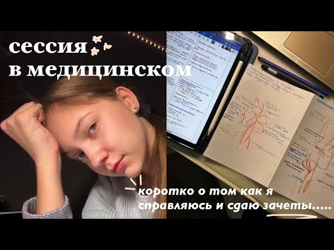 Видео: сессия на 2 курсе меда || переживания, зачеты, мотивация ✨