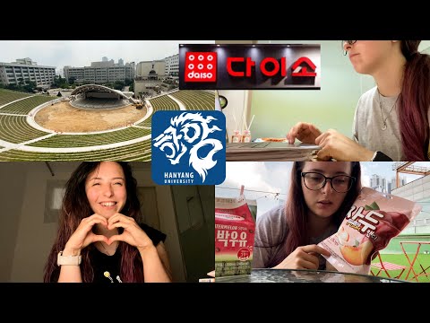 Видео: KOREA VLOG DIARY| покупки в DAISO /гуляю по кампусу университета Ханянг | 11.09.2023