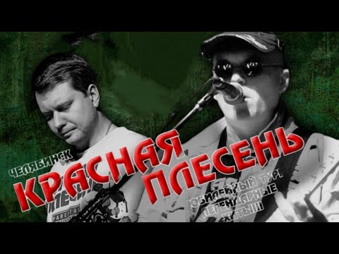 Видео: Красная Плесень | Челябинск / Harat`s 28.03.2024