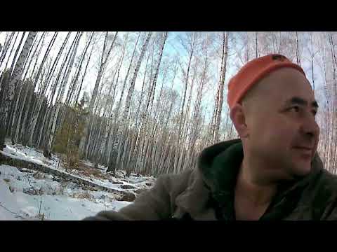 Видео: Охота с РЕЛ