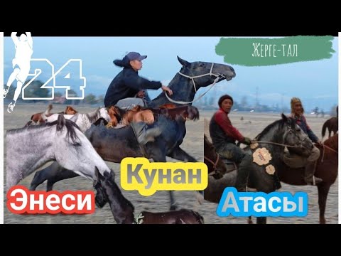 Видео: Кунандын курчу