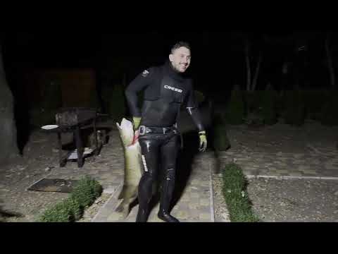 Видео: Подводная охота и настоящий трофей