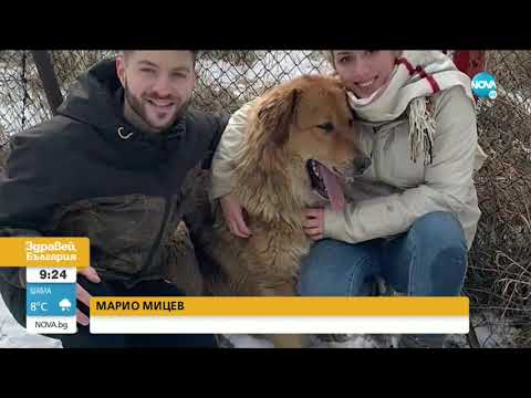 Видео: ОТ ЧЕПЕЛАРЕ ДО ЛОС АНДЖЕЛИС: Бездомното куче Мечо, което обиколи света