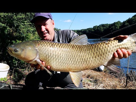 Видео: Рыбалка на Амура на лесном Озере!