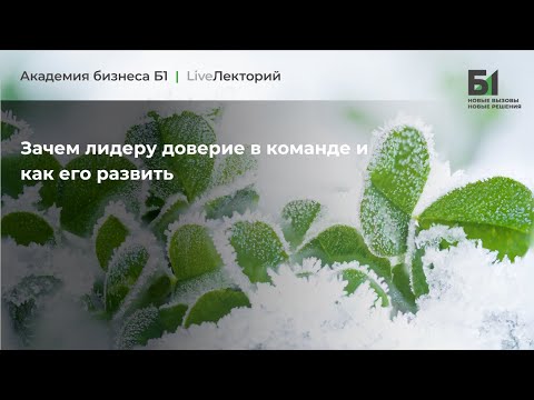 Видео: Вебинар "Зачем лидеру доверие в команде и как его развить" Академии бизнеса Б1