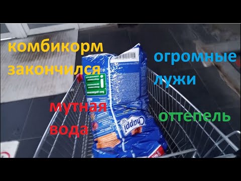 Видео: Выгодно ли содержать кроликов?