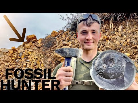 Видео: Новый обвал СЛАНЦЕВЫХ пород: охота за окаменелостями! Удачные кости и аммониты! | Охотник за окам...